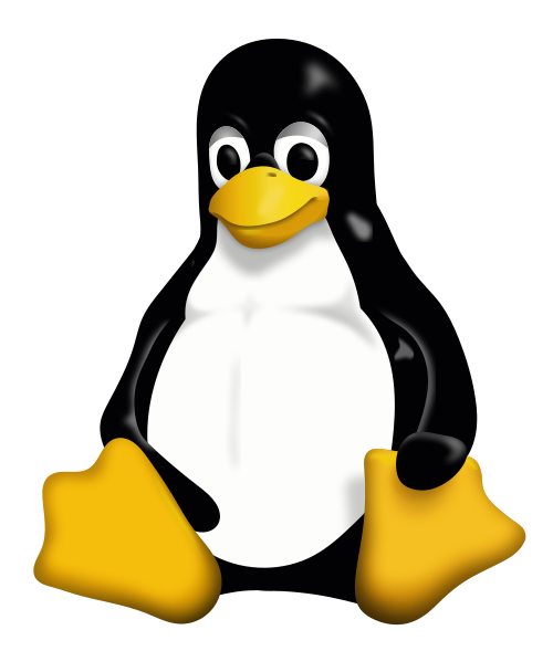 Linux BSP development